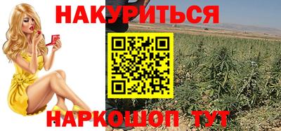 сатива Жуковский
